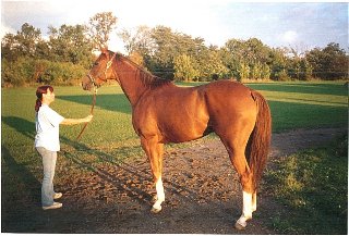 Call for more information.