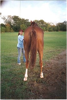 Call for more information.