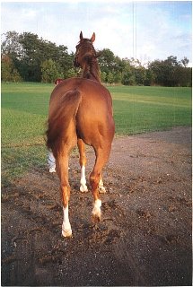 Call for more information.