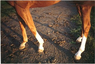 Call for more information.