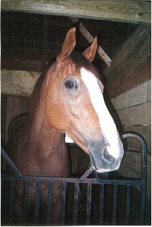 Call for more information.