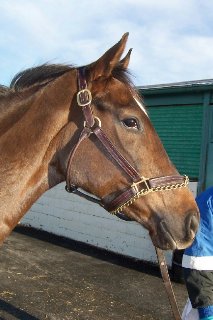 Call for more information.