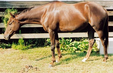 Dorlee - October 2006