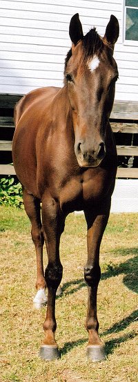 Dorlee - October 2006