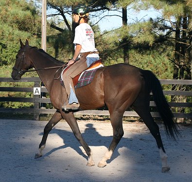 Dawn's second ride on Aly's Alpha Boy 
