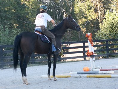 Aly's Alpha Boy is calm and quiet - even right off-the-track.