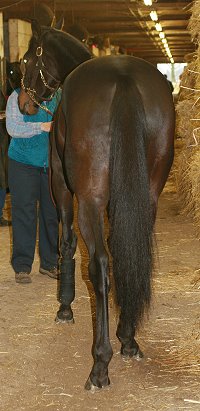 "Bounce" is well put together.