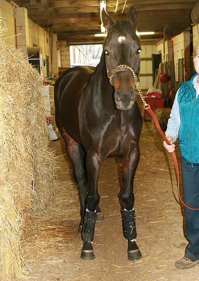 Please call for more information. We do not give prices by e-mail.