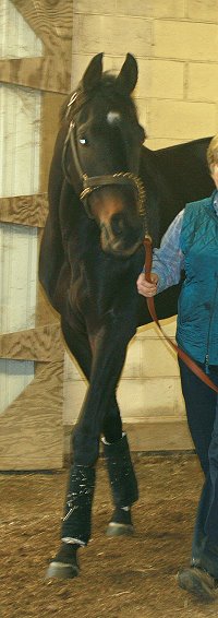 "Bounce" is easy to handle. 