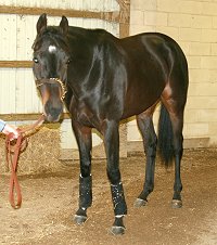 Bounced at the track.