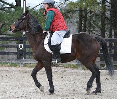 At first your horse may resist the contact.