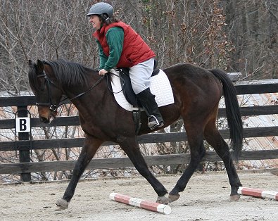 A balanced horse steps under himself better.