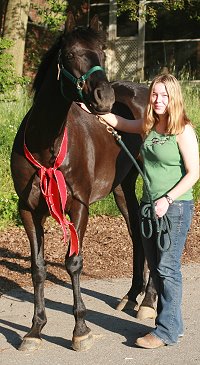 Former Prospect Horse for sale - Coin Maker gets a new mom! May 9, 2007