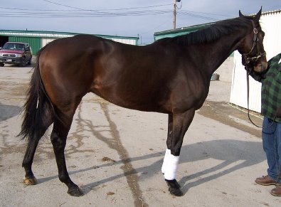 Please call for more information. We do not give prices by e-mail.