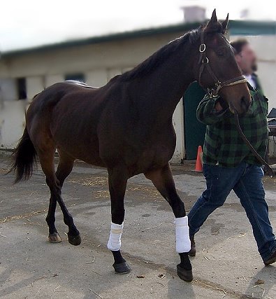 Please call for more information. We do not give prices by e-mail.