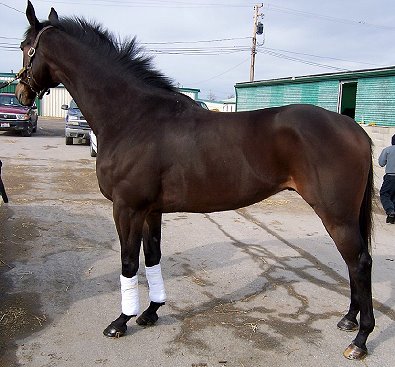 "Geronimo" is up-to-date on everything and he has no vices. 