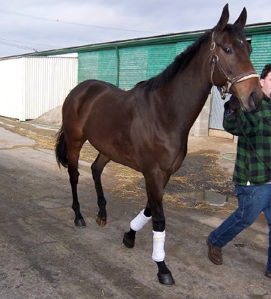 Please call for more information. We do not give prices by e-mail.