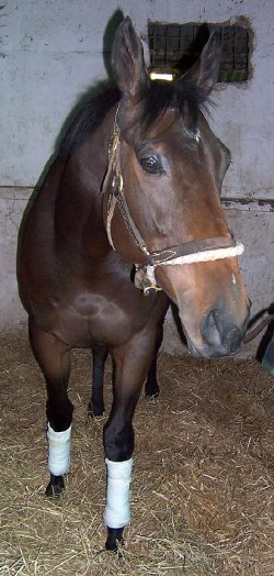 Please call for more information. We do not give prices by e-mail.