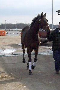 "Geronimo" is up-to-date on everything and he has no vices. 