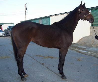 Please call for more information. We do not give prices by e-mail.