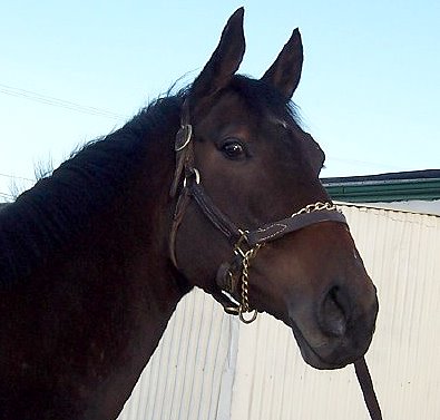 Please call for more information. We do not give prices by e-mail.