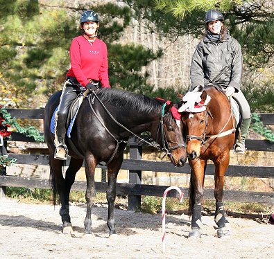 Our horses enjoy the holiday as much as we do! Stevie Loverboy and Tuck's St Aly. December 2007