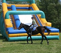 OTTB - Stevie Loverboy and the blowup slide. May 2, 2008