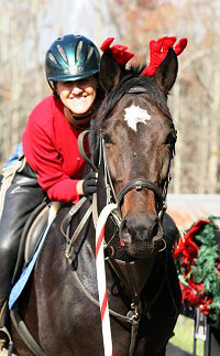 OTTB - Stevie Loverboy is all decked out for the holidays! December 6, 2007