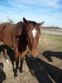 Call for more information.