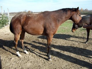 Call for more information.