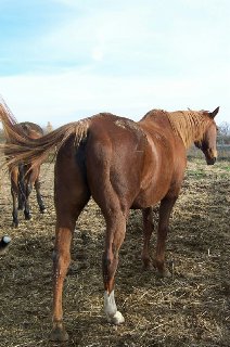 Call for more information.