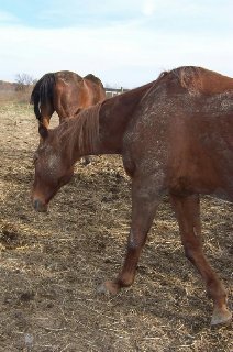 Call for more information.