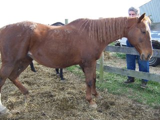 Call for more information.