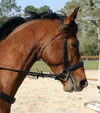 Artrageous - March 9, 2007