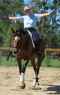 OTTB Thoroughbred Stallion - Artrageous