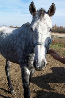 Call for more information.