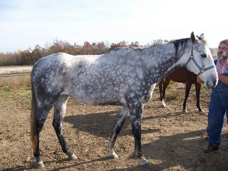 Call for more information.