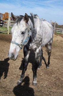 Call for more information.