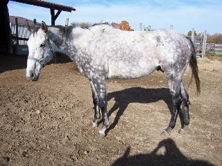 Call for more information.