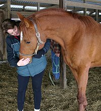 Brett and Elizabeth in February