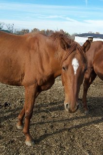 Call for more information.