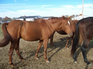 Call for more information.