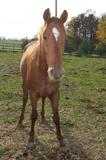 Call for more information.