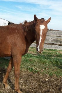 Call for more information.