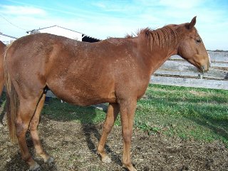 Call for more information.