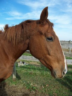 Call for more information.