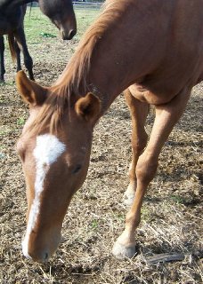 Call for more information.