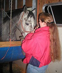 Lise Matte gives Cherish the Groom a bucket of water before she continued on to Florida.