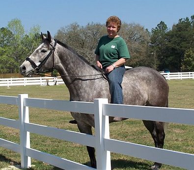 Cherish the Groom was a former grey prospect horse for sale.