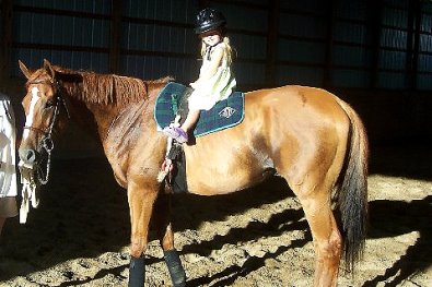 My three year-old cools him out after every workout and loves helping me pick his feet and brush his mane and tail. 